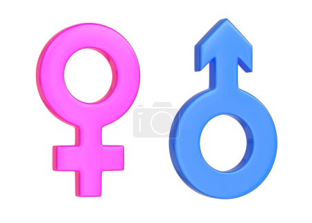 Foto de Símbolos macho y hembra aislados sobre fondo blanco. Símbolos sexuales. Signo de Venus y Marte. Icono de género. Un par de hombres y mujeres. Render 3d Ilustración 3d - Imagen libre de derechos