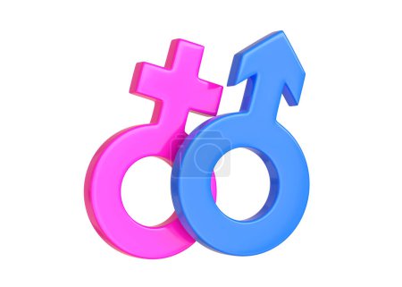 Photo for Male and Female symbols isolated on white background. Sexual symbols. Sign of venus and mars. Gender icon. Couple man and woman. 3d Render 3d Illustration - Royalty Free Image