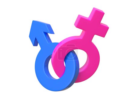 Photo for Male and Female symbols joined together on white background. Sexual symbols. Sign of venus and mars. Gender icon. Couple man and woman. 3d Render 3d Illustration - Royalty Free Image