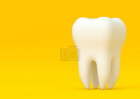 Foto de Modelo dental de diente premolar sobre fondo amarillo. Concepto de odontología, salud e higiene dental. Ilustración de representación 3d - Imagen libre de derechos