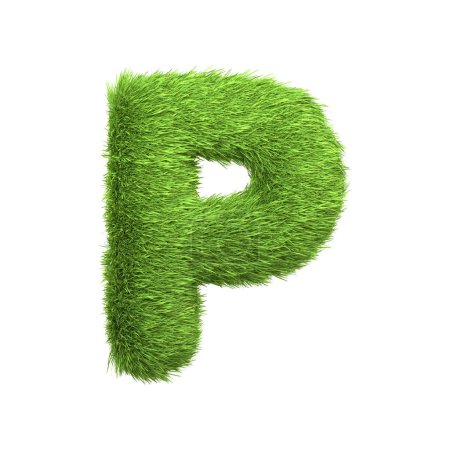 Téléchargez les photos : Lettre majuscule P en forme d'herbe verte luxuriante, isolée sur un fond blanc. Vue de face. Illustration de rendu 3D - en image libre de droit