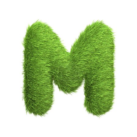 Großbuchstabe M aus sattgrünem Gras, isoliert auf weißem Hintergrund. Frontansicht. 3D-Darstellung