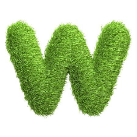 Capital letter W shaped from lush green grass, isolated on a white background. Front view. 3D render illustration