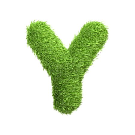 Téléchargez les photos : Lettre majuscule Y en forme d'herbe verte luxuriante, isolé sur un fond blanc. Vue de face. Illustration de rendu 3D - en image libre de droit