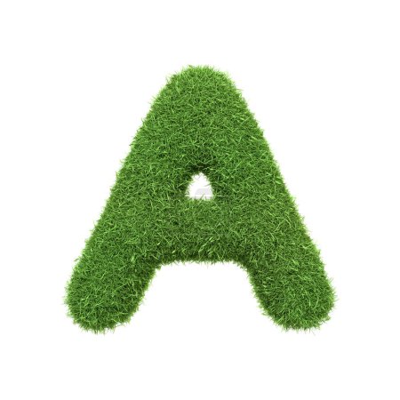 Capital letter A shaped from lush green grass, isolated on a white background. Front view. 3D render illustration