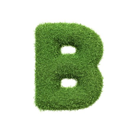 Capital letter B shaped from lush green grass, isolated on a white background. Front view. 3D render illustration