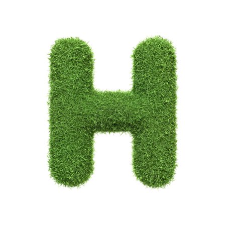 Téléchargez les photos : Lettre majuscule H en forme d'herbe verte luxuriante, isolée sur un fond blanc. Vue de face. Illustration de rendu 3D - en image libre de droit