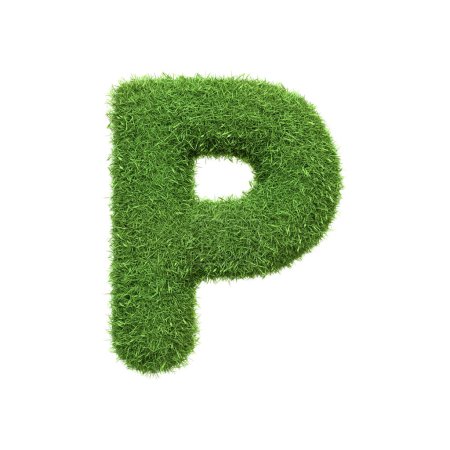 Capital letter P shaped from lush green grass, isolated on a white background. Front view. 3D render illustration