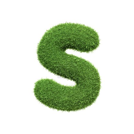 Capital letter S shaped from lush green grass, isolated on a white background. Front view. 3D render illustration