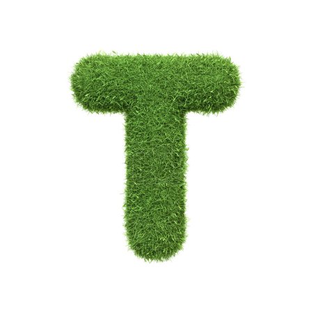 Foto de Letra mayúscula T en forma de hierba verde exuberante, aislado sobre un fondo blanco. Vista frontal. Ilustración de representación 3D - Imagen libre de derechos