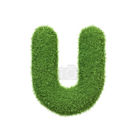 Capital letter U shaped from lush green grass, isolated on a white background. Front view. 3D render illustration