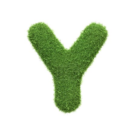 Großbuchstabe Y aus sattgrünem Gras geformt, isoliert auf weißem Hintergrund. Frontansicht. 3D-Darstellung