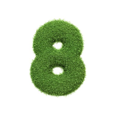 Foto de El número 8 en forma de densa hierba verde, situado sobre un fondo blanco puro. Número ocho. Vista frontal. Ilustración de representación 3D - Imagen libre de derechos