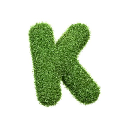 Foto de Letra mayúscula K en forma de hierba verde exuberante, aislado sobre un fondo blanco. Vista lateral. Ilustración de representación 3D - Imagen libre de derechos