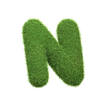 Photo for Capital letter N shaped from lush green grass, isolated on a white background. Side view. 3D render illustration - Royalty Free Image