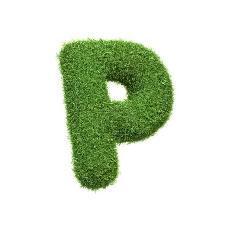 Téléchargez les photos : Lettre majuscule P en forme d'herbe verte luxuriante, isolée sur un fond blanc. Vue latérale. Illustration de rendu 3D - en image libre de droit