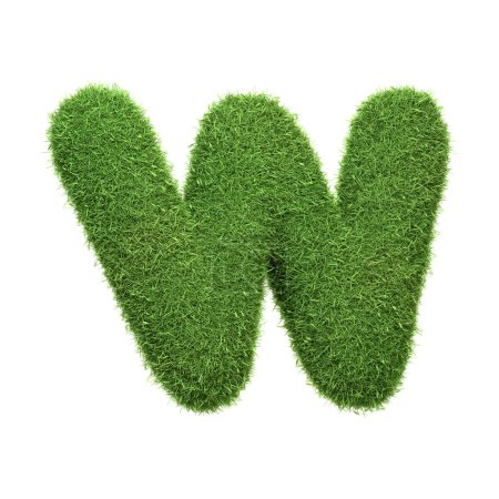 Photo for Capital letter W shaped from lush green grass, isolated on a white background. Side view. 3D render illustration - Royalty Free Image