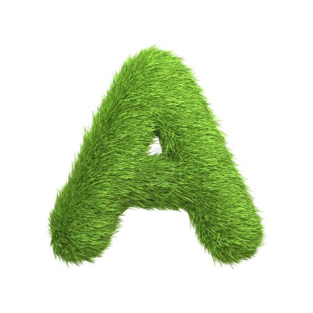 Téléchargez les photos : Lettre majuscule A en forme d'herbe verte luxuriante, isolé sur un fond blanc. Vue de face. Illustration de rendu 3D - en image libre de droit