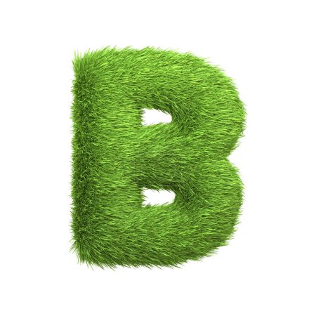 Capital letter B shaped from lush green grass, isolated on a white background. Front view. 3D render illustration