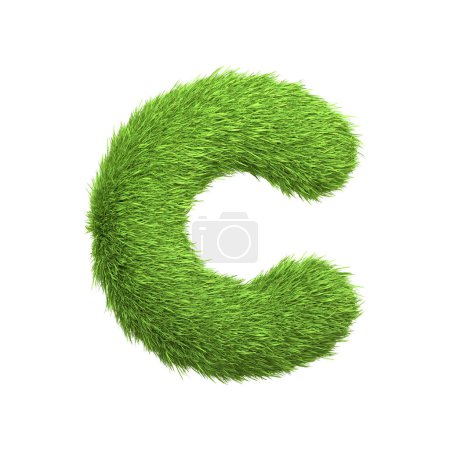 Lettre majuscule C en forme d'herbe verte luxuriante, isolée sur un fond blanc. Vue de face. Illustration de rendu 3D