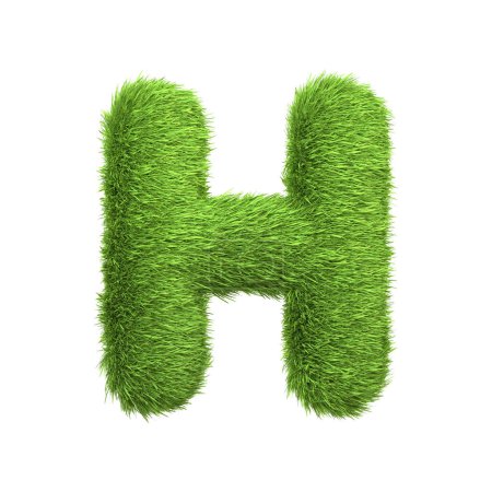 Großbuchstabe H aus sattgrünem Gras geformt, isoliert auf weißem Hintergrund. Frontansicht. 3D-Darstellung