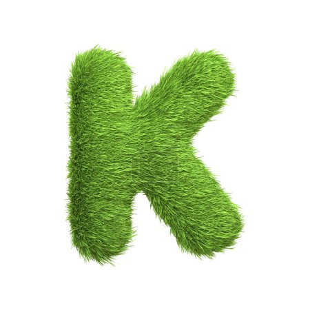 Großbuchstabe K aus sattgrünem Gras, isoliert auf weißem Hintergrund. Frontansicht. 3D-Darstellung