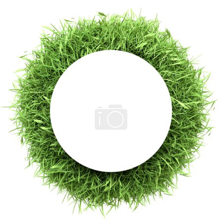 A circular white frame centered within a thick border of lush green grass, depicting an eco-friendly and organic theme. 3D render illustration
