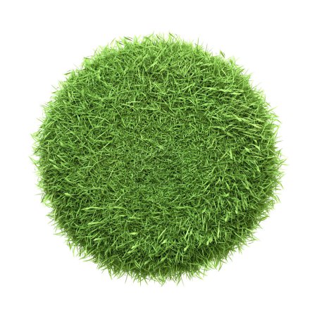 Circular patch of vibrant green grass isolated on a white background. 3D render illustration