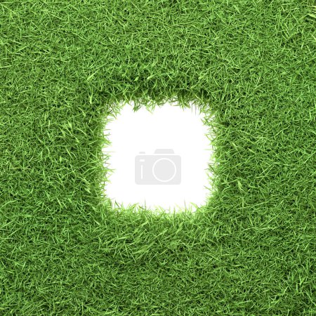 Téléchargez les photos : Cadre carré entouré d'une bordure dense d'herbe verte fraîche, illustrant un concept de design inspiré de la nature. Illustration de rendu 3D - en image libre de droit