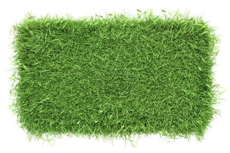 Top view of a dense, green grass patch with a vibrant texture, perfect for garden landscaping, isolated on a white background. 3D Render illustration