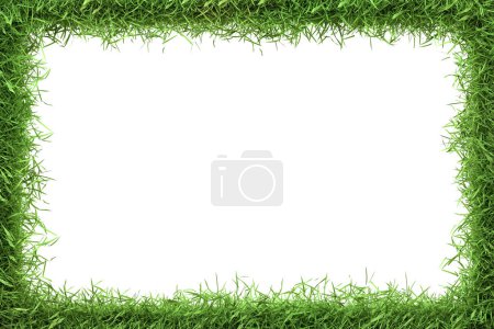 Foto de Un frondoso borde de hierba verde enmarca un espacio central en blanco, ideal para mensajes y diseños eco-temáticos. Ilustración 3D Render - Imagen libre de derechos