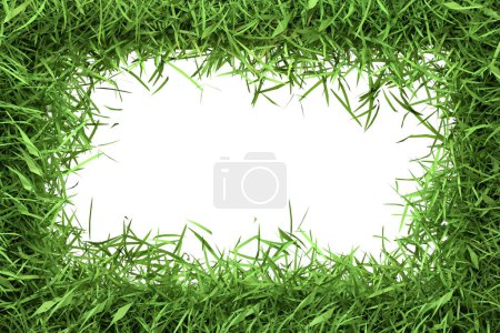 Foto de Un frondoso borde de hierba verde enmarca un espacio central en blanco, ideal para mensajes y diseños eco-temáticos. Ilustración 3D Render - Imagen libre de derechos
