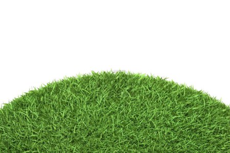 A perfectly shaped mound of vibrant green grass creating a small hill, symbolizing growth and nature, isolated on a white background. 3D Render illustration