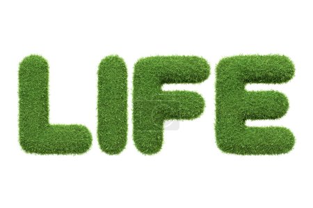 Téléchargez les photos : Le mot LIFE créé à partir d'une texture d'herbe verte vibrante, symbolisant la croissance et la vitalité, placé sur un fond blanc. Illustration 3D Render - en image libre de droit