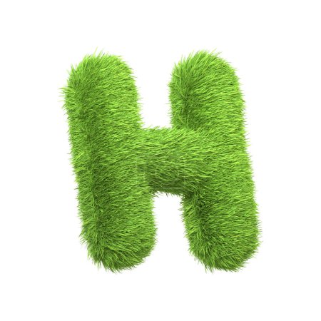 Téléchargez les photos : Lettre majuscule H en forme d'herbe verte luxuriante, isolée sur un fond blanc. Vue latérale. Illustration de rendu 3D - en image libre de droit