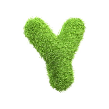 Téléchargez les photos : Lettre majuscule Y en forme d'herbe verte luxuriante, isolé sur un fond blanc. Vue latérale. Illustration de rendu 3D - en image libre de droit