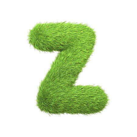 Téléchargez les photos : Lettre majuscule Z en forme d'herbe verte luxuriante, isolée sur un fond blanc. Vue latérale. Illustration de rendu 3D - en image libre de droit