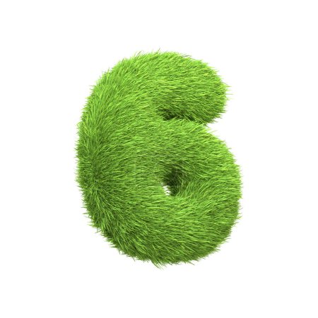 Foto de El número 6 en forma de densa hierba verde, situado sobre un fondo blanco puro. Número seis. Vista frontal. Ilustración de representación 3D - Imagen libre de derechos