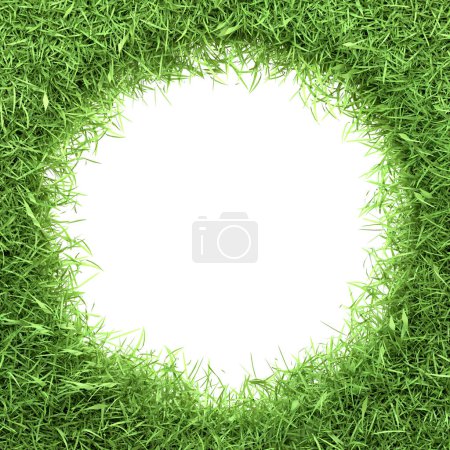Photo for Circle-shaped white space edged with a thick, natural green grass border, ideal for eco-themed designs and concepts. 3D render illustration - Royalty Free Image