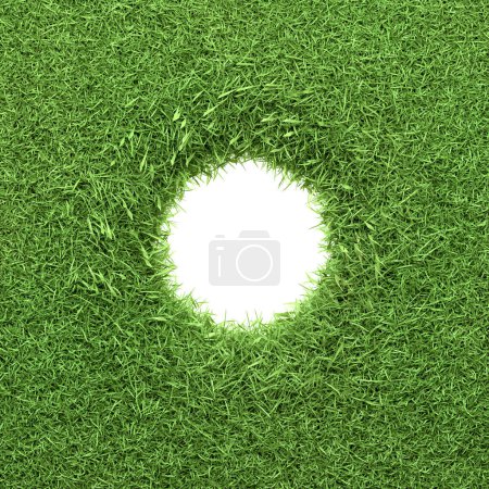 Foto de Espacio blanco en forma de círculo bordeado por un borde de césped verde grueso y natural, ideal para diseños y conceptos eco-temáticos. Ilustración de representación 3D - Imagen libre de derechos