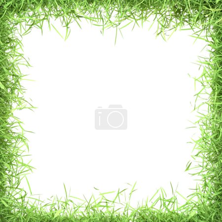 Téléchargez les photos : Cadre carré entouré d'une bordure dense d'herbe verte fraîche, illustrant un concept de design inspiré de la nature. Illustration de rendu 3D - en image libre de droit