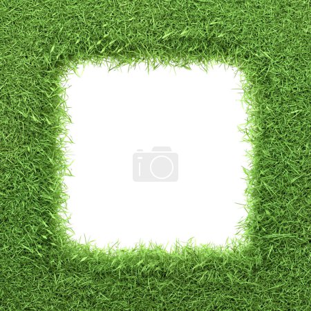 Foto de Marco cuadrado rodeado por un borde denso de hierba verde fresca, que ilustra un concepto de diseño inspirado en la naturaleza. Ilustración de representación 3D - Imagen libre de derechos