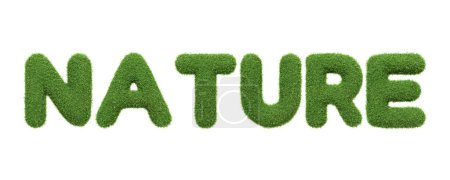 Téléchargez les photos : Le mot NATURE s'affiche dans une texture d'herbe verte riche, symbolisant l'essence du monde naturel et les thèmes environnementaux, isolé sur un fond blanc. Illustration 3D Render - en image libre de droit