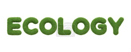The word ECOLOGY in a fresh green grass texture, emphasizing the study and protection of the environment, isolated on a white background. 3D Render illustration