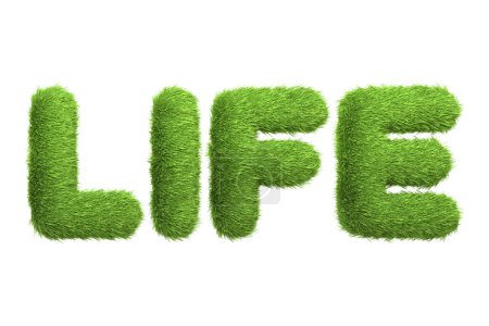 Téléchargez les photos : Le mot LIFE créé à partir d'une texture d'herbe verte vibrante, symbolisant la croissance et la vitalité, placé sur un fond blanc. Illustration 3D Render - en image libre de droit