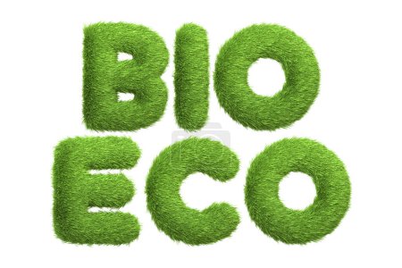 Die Wörter BIO und ECO sind in einer grünen Grasstruktur gestylt und symbolisieren Bio und Ökologie, isoliert auf weißem Hintergrund. 3D Render illustration