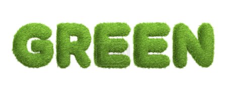 Le mot VERT s'exprime dans une texture d'herbe verte vibrante, représentant l'éco-respect et le mouvement vert, isolé sur un fond blanc. Illustration 3D Render
