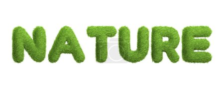 Le mot NATURE s'affiche dans une texture d'herbe verte riche, symbolisant l'essence du monde naturel et les thèmes environnementaux, isolé sur un fond blanc. Illustration 3D Render