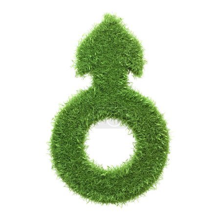 Symbole masculin de genre fabriqué à partir d'herbe verte isolée sur un fond blanc, promouvant le concept de masculinité écologique et d'impacts environnementaux positifs. Illustration de rendu 3D