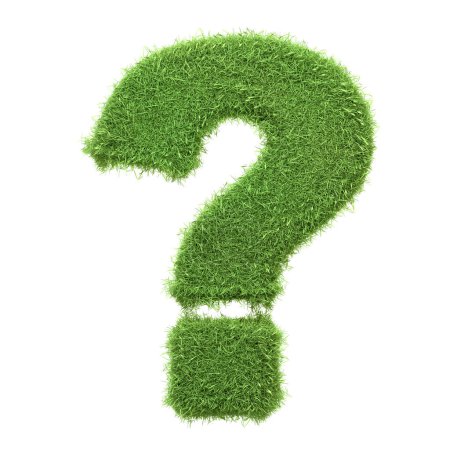 Ein Fragezeichen-Symbol aus leuchtend grünem Gras isoliert auf weißem Hintergrund, das Fragen über die Umwelt, Nachhaltigkeit und unseren ökologischen Fußabdruck aufwirft. 3D-Darstellung